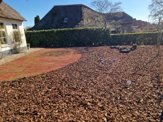 Voortuin Giethoorn met sedummat en boomschorsmulch – overzicht.