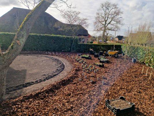 Voortuin Giethoorn met sedummat en boomschorsmulch – overzicht.