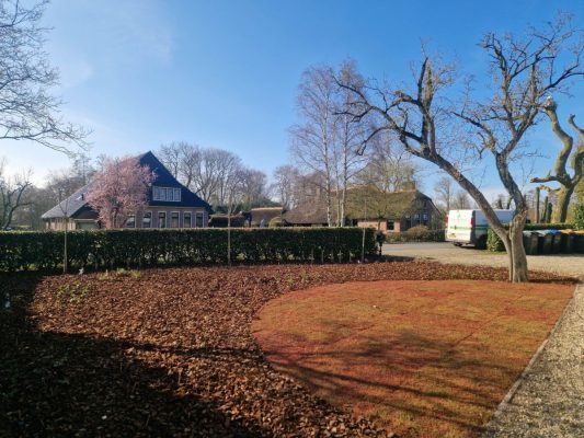 Voortuin Giethoorn met sedummat en boomschorsmulch – overzicht.